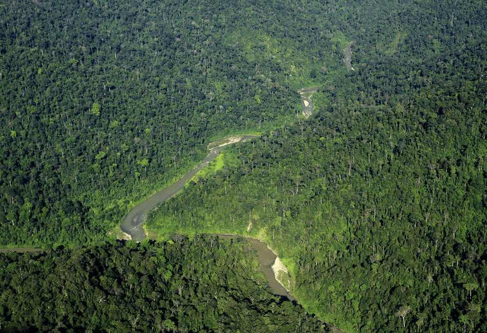 Bukit Lawang