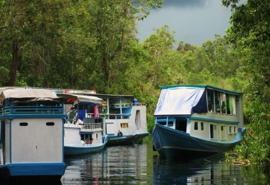 visit-borneo
