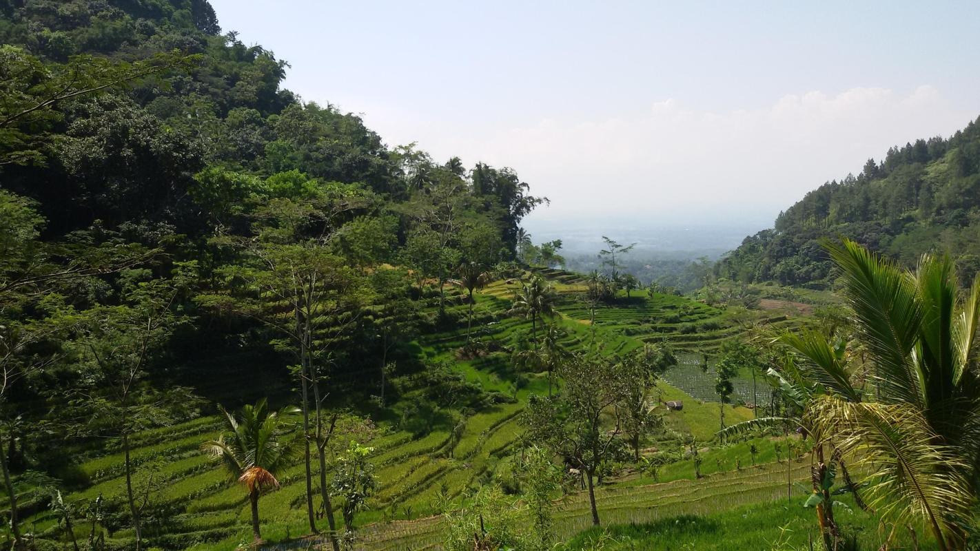 Selogriyo Trek