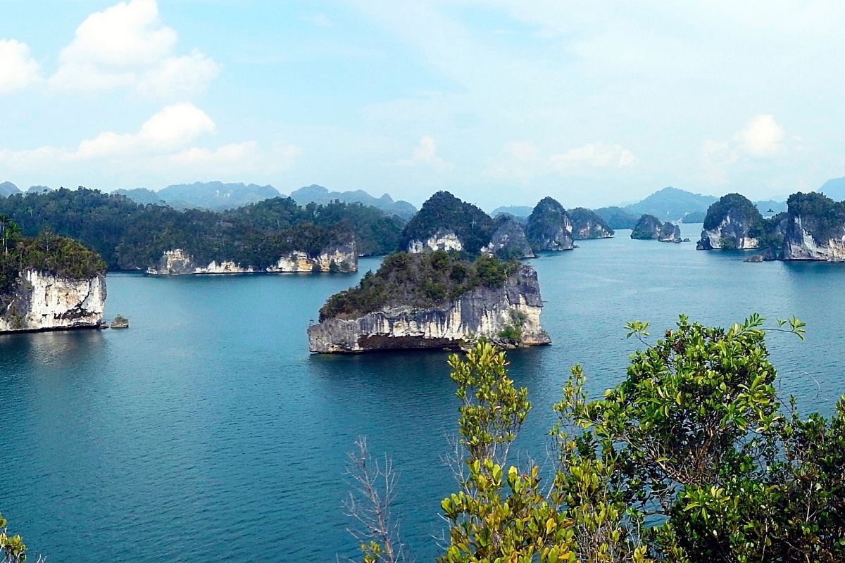 Kabui Bay Tour