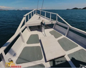 private phinisi cruise