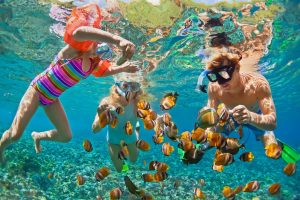 A family enjoying a private snorkeling adventure among colorful tropical fish and blue corals in the clear waters of Gili Islands