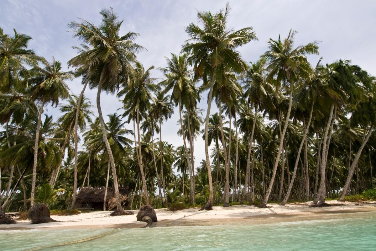 Padang – Siberut Island