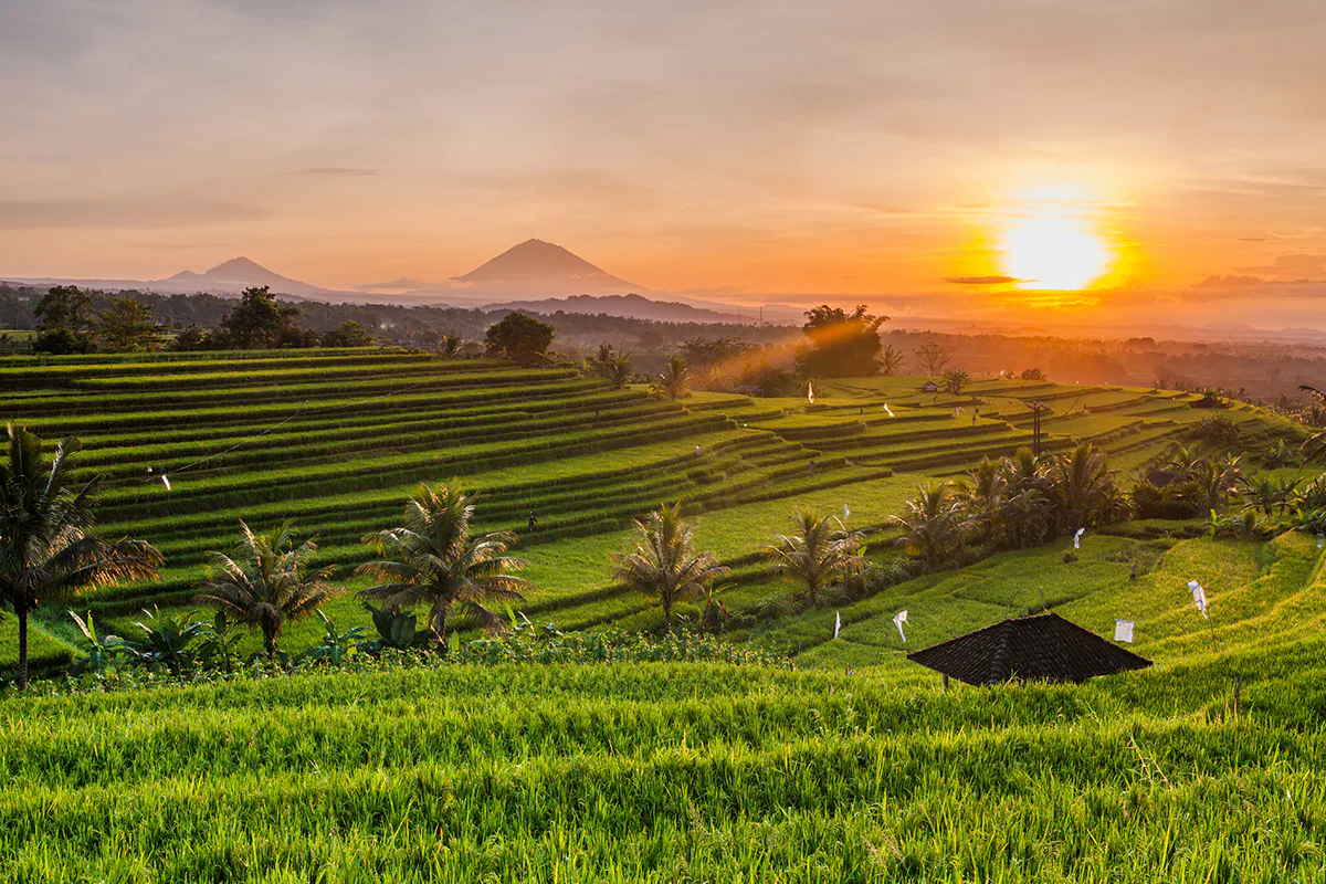 Ubud – Central Bali