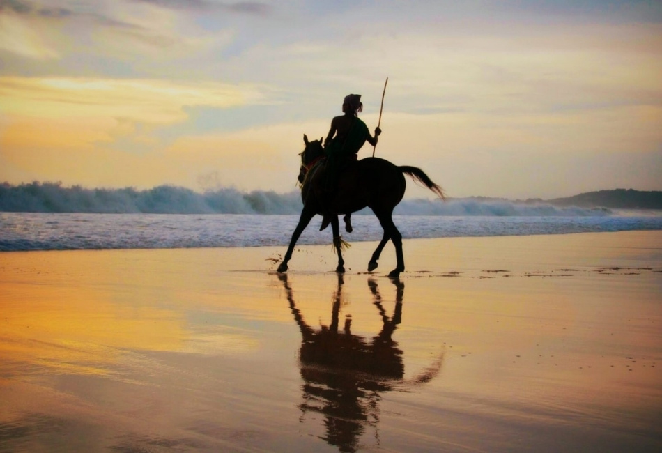 Horse riding on the beach at sunset during a family tour in Indonesia