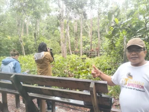 tanjung puting adventure
