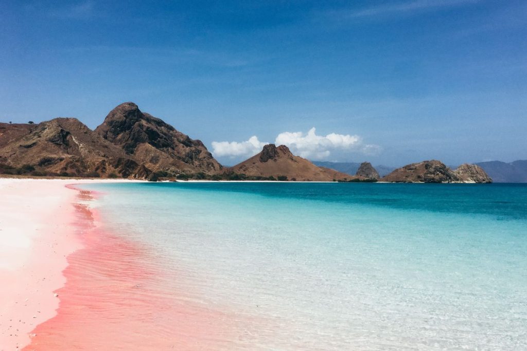 pink beach indonesia