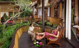 luxury wellness resorts indonesia