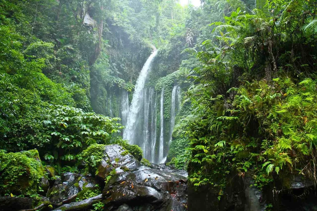 Indonesia sustainable travel experience