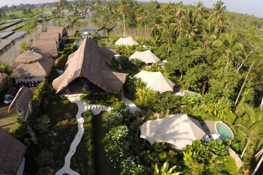 Glamping area surrounded by trees