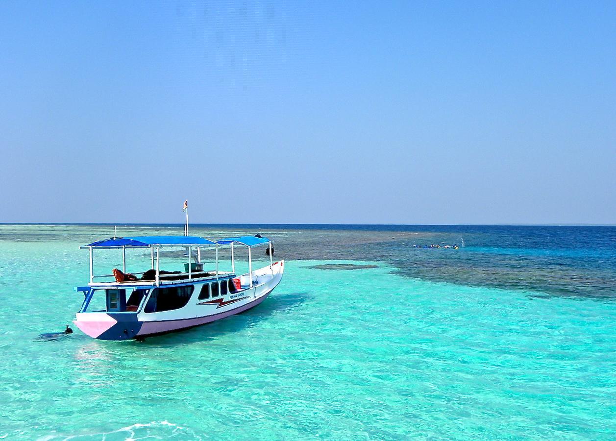 Fly to Kura Kura
