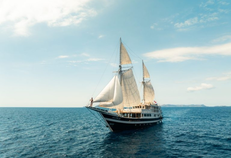 Aliikai – Best for Couples Wanting More Private Outdoor Space