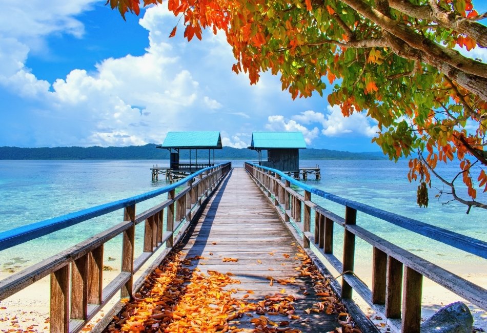 Beautiful scene of wooden pier above coral reef in Arborek village