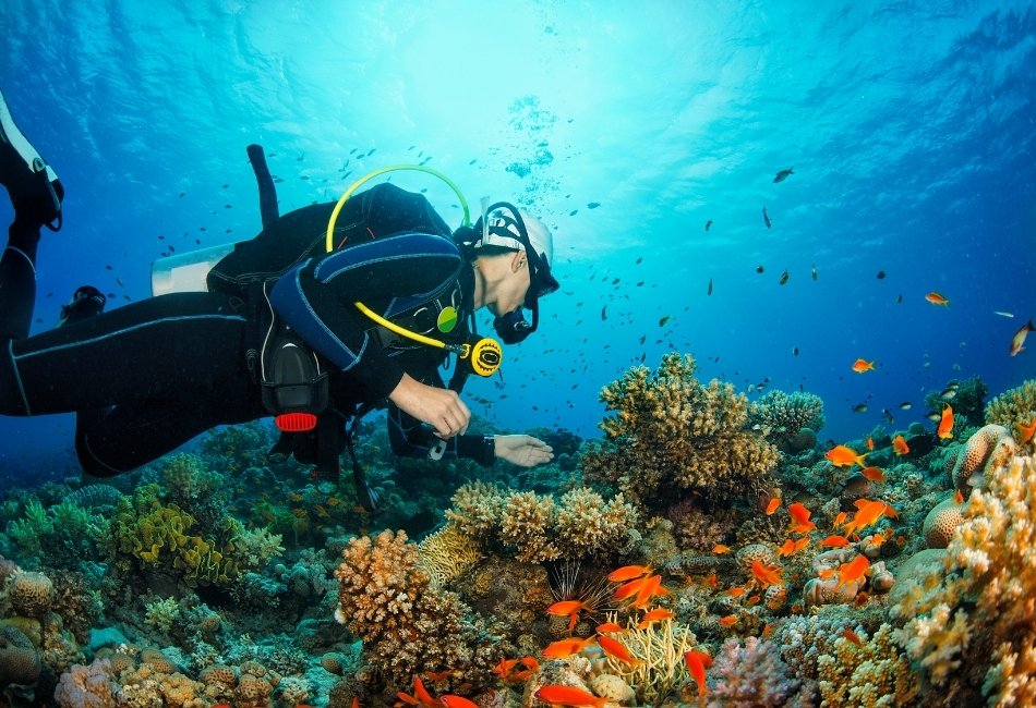 Dive the Dampier Strait