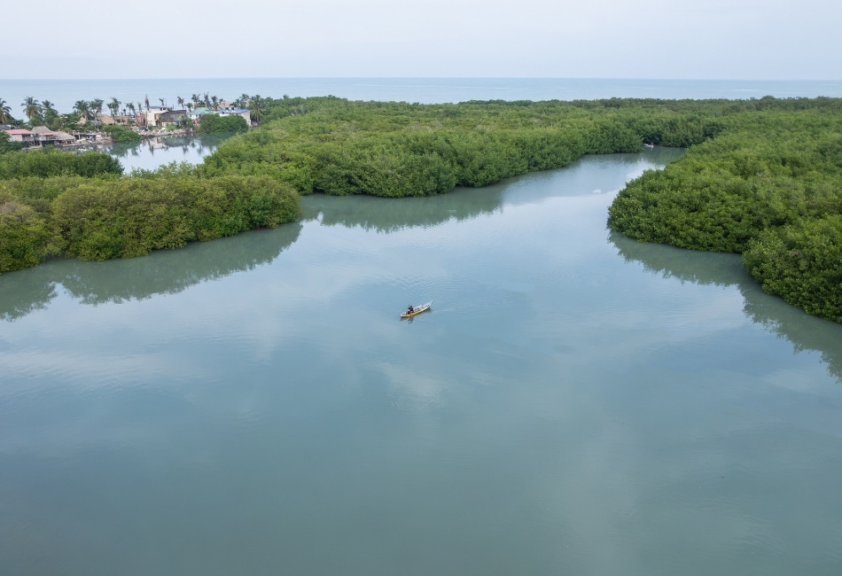 Kayak Through Lagoons, Karst Islands and Mangroves