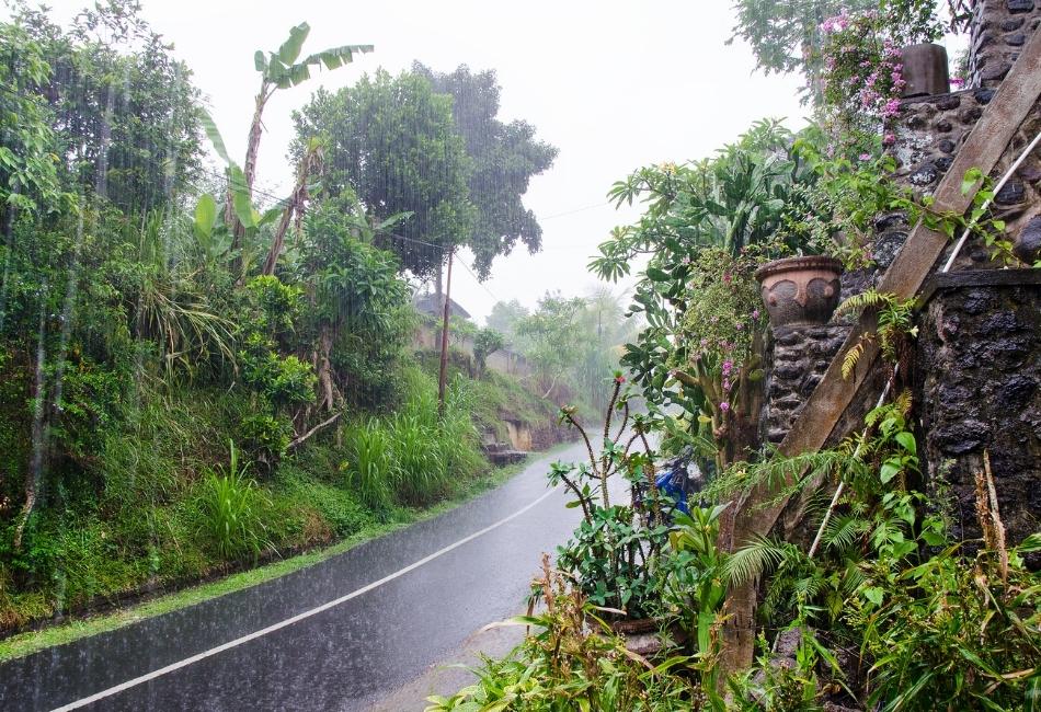 Street of Ubud in the rainy season